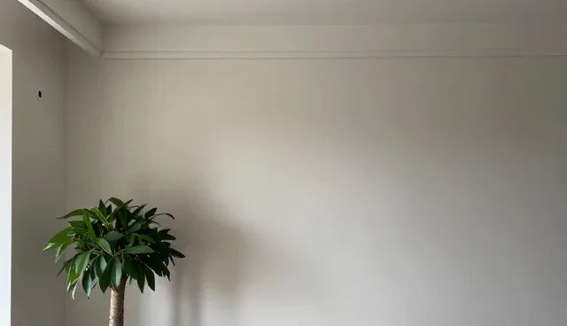 品牌定位中的项目管理常见问题与处理方法